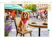 CALVENDO Puzzle CALVENDO Puzzle Cavalier Spaniel at a lively street caf&eacute;, 1000