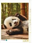 CALVENDO Puzzle CALVENDO Puzzle Small paws, big impact, 1000 pieces, finished...