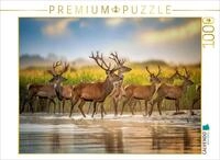 CALVENDO Puzzle CALVENDO Puzzle A moment of silence., 1000 pieces, finished size