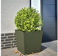 vidaXL Pflanzk&uuml;bel 50 x 50 x 50 cm Pflanzk&uuml;bel Blumenk&uuml;bel Pflanzcontainer