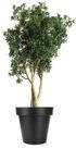 BigDean Blumentopf Pflanzk&uuml;bel XXL &oslash;60 cm anthrazit wetterfester Blumenk&uuml;bel...