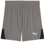 PUMA Trainingsshorts Puma Kinder Short teamLIGA26 Shorts 706555