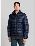 TOM TAILOR Winterjacke Jacken Lightweight Steppjacke mit Stehkragen