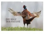CALVENDO Wandkalender Emotionale Momente: Die Balz der Fasane / CH-Version
