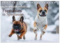 CALVENDO Wandkalender Frenchies in Spiellaune (Tischkalender 2027 DIN A5 quer),