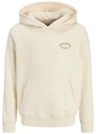 Jack & Jones Junior Sweatshirt JJEBRANDES BACKP RELAXED SWEAT H SN JNR