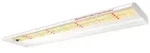 Spider Farmer Pflanzenlampe Spider Farmer LED Growlampe SF Kompakt-Serie, LED...