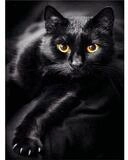 Idena Malen nach Zahlen PRACHT Diamond Painting Schwarze Katze 40x30cm
