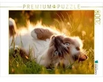 CALVENDO Puzzle CALVENDO Puzzle Heilige Birma - Ein Platz an der Sonne, 2000...