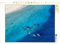 CALVENDO Puzzle CALVENDO Puzzle Durch Str&ouml;mung und Tide - Delfine, 1000 Teile