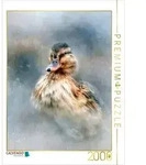 CALVENDO Puzzle CALVENDO Puzzle Ente, ein leiser Moment am Wasser, 2000 Teile