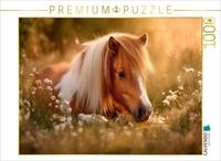CALVENDO Puzzle CALVENDO Puzzle Shetlandpony - Stille Sommermomente, 1000 Teile