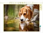 CALVENDO Puzzle CALVENDO Puzzle Beagle - Durstige Sp&uuml;rnase, 2000 Teile...