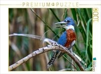 CALVENDO Puzzle CALVENDO Puzzle Rotbrustfischer aus Costa Rica, 1000 Teile