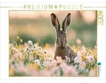 CALVENDO Puzzle CALVENDO Puzzle Sommergl&uuml;ck auf langen Ohren, 2000 Teile
