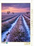 CALVENDO Puzzle CALVENDO Puzzle Lavendel im winterlichen Licht, 1000 Teile