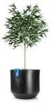 BigDean Blumentopf Blumentopf Style &oslash; 46 cm anthrazit mit herausnehmbaren...