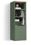 Livinity&reg; Aktenschrank Piave, Gr&uuml;n, mit einer T&uuml;r (1-St)