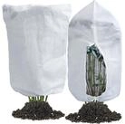 LuxusKollektion Winterschutzhaube 2er Set Frostschutz Pflanzenabdeckung 80x120...