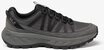 Jack Wolfskin WILD HIKE TEXAPORE LOW M Wanderschuh