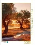 CALVENDO Puzzle CALVENDO Puzzle Ein Motiv aus dem Kalender Wo die Zeit Wurzeln
