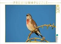 CALVENDO Puzzle CALVENDO Puzzle Bluth&auml;nfling, 1000 Teile Lege-Gr&ouml;&szlig;e 64 &times; 48 cm
