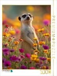 CALVENDO Puzzle CALVENDO Puzzle Blumen und gute Laune, 1000 Teile Lege-Gr&ouml;&szlig;e 64 &times;