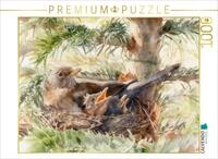 CALVENDO Puzzle CALVENDO Puzzle Amsel mit Nachwuchs, 1000 Teile Lege-Gr&ouml;&szlig;e 64 &times; 48