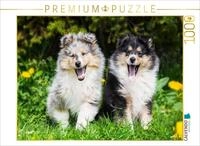 CALVENDO Puzzle CALVENDO Puzzle 7 Wochen alte Welpen, 1000 Teile Lege-Gr&ouml;&szlig;e 64 &times;