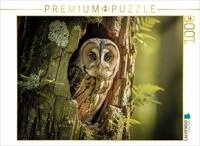 CALVENDO Puzzle CALVENDO Puzzle Magie zwischen den B&auml;umen, n&auml;chtliche Naturkraft.,