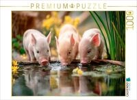 CALVENDO Puzzle CALVENDO Puzzle Ferkelgl&uuml;ck, 1000 Teile Lege-Gr&ouml;&szlig;e 64 &times; 48 cm