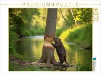 CALVENDO Puzzle CALVENDO Puzzle Fast geschafft - Biber mit Baumstamm, 1000 Teile