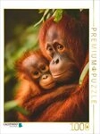 CALVENDO Puzzle CALVENDO Puzzle Orang-Utan mit Jungtier, 1000 Teile Lege-Gr&ouml;&szlig;e 64