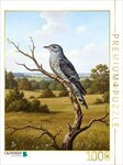 CALVENDO Puzzle CALVENDO Puzzle Kuckuck als Gem&auml;lde, 1000 Teile Lege-Gr&ouml;&szlig;e 64 &times;