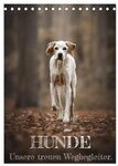 CALVENDO Wandkalender Hunde - Unsere treuen Wegbegleiter. (Tischkalender 2027...
