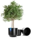 BigDean Blumentopf 2er Set "Style" &ndash; Rundk&uuml;bel inkl. Innentopf, verschiedene