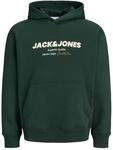 Kapuzensweatshirt JACK & JONES "JJABBO SWEAT HOOD", Herren, Gr. L, gr&uuml;n (scarab),