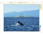 CALVENDO Puzzle CALVENDO Puzzle Whale Watching am Race Rocks Lighthouse in British