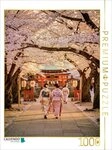 CALVENDO Puzzle CALVENDO Puzzle Japanische &Auml;sthetik, 1000 Teile Lege-Gr&ouml;&szlig;e 64 &times;
