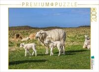 CALVENDO Puzzle CALVENDO Puzzle Schafidylle im Naturschutzgebiet Ellenbogen auf Sylt,