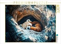CALVENDO Puzzle CALVENDO Puzzle Roter Panda - Stille im Himalaya-Wald, 1000 Teile