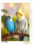 CALVENDO Puzzle CALVENDO Puzzle Ungew&ouml;hnliche Freunde - Nymphensittich und