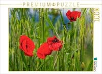 CALVENDO Puzzle CALVENDO Puzzle Klatschmohn im toskanischen Wind, 1000 Teile