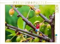 CALVENDO Puzzle CALVENDO Puzzle Regen im Kirschbaum, 1000 Teile Lege-Gr&ouml;&szlig;e 64 &times; 48
