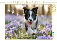 CALVENDO Puzzle CALVENDO Puzzle Kleiner Sprung ins Gl&uuml;ck, 1000 Teile Lege-Gr&ouml;&szlig;e 64