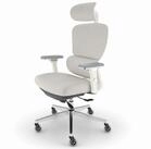 CLOUVOU B&uuml;rostuhl Ergonomisch, Schreibtischstuhl bis 150 kg (ProSeat -...