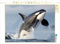 CALVENDO Puzzle CALVENDO Puzzle Kraftvoller Sprung aus dem Wasser, 1000 Teile