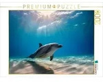 CALVENDO Puzzle CALVENDO Puzzle Delfin auf dem Boden des Meeres, 2000 Teile