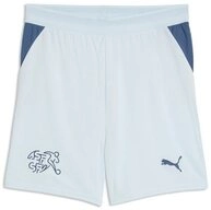 PUMA Jerseyhose Sfv Shorts Replica JR