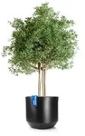 BigDean Blumentopf Pflanzk&uuml;bel Style &oslash; 58 cm anthrazit wetterfester...
